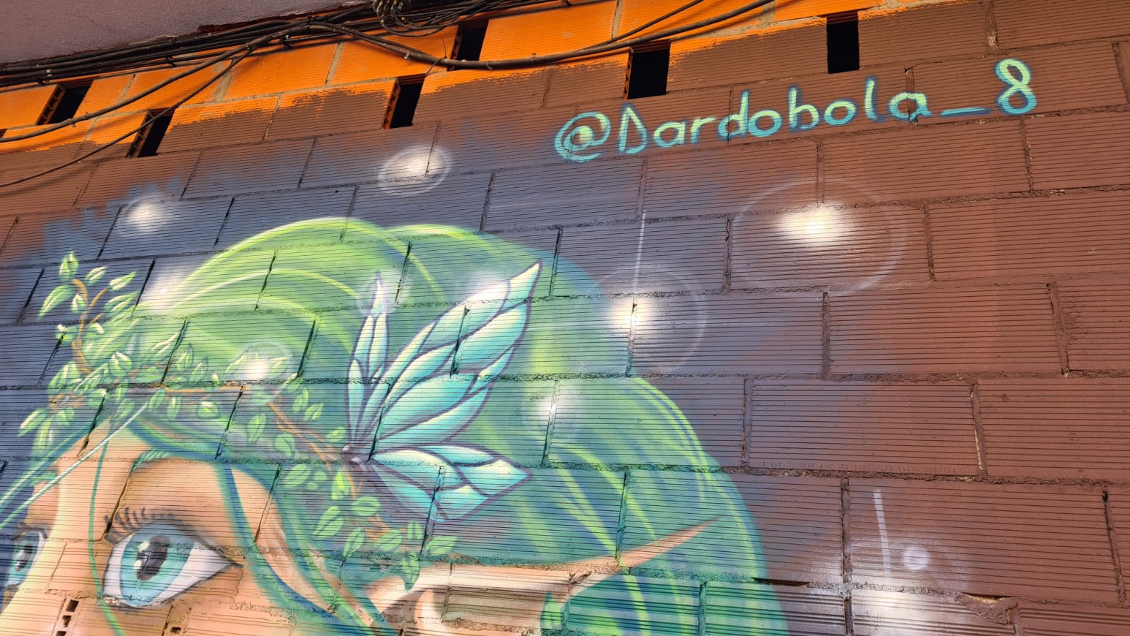 Los murales de la calle Doña Urraca