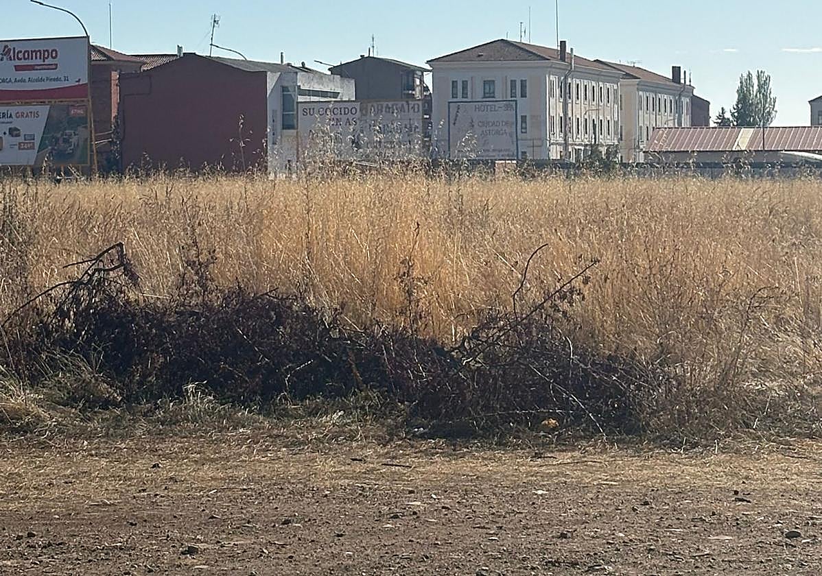 Área del paseo de Peñicas en Astorga.