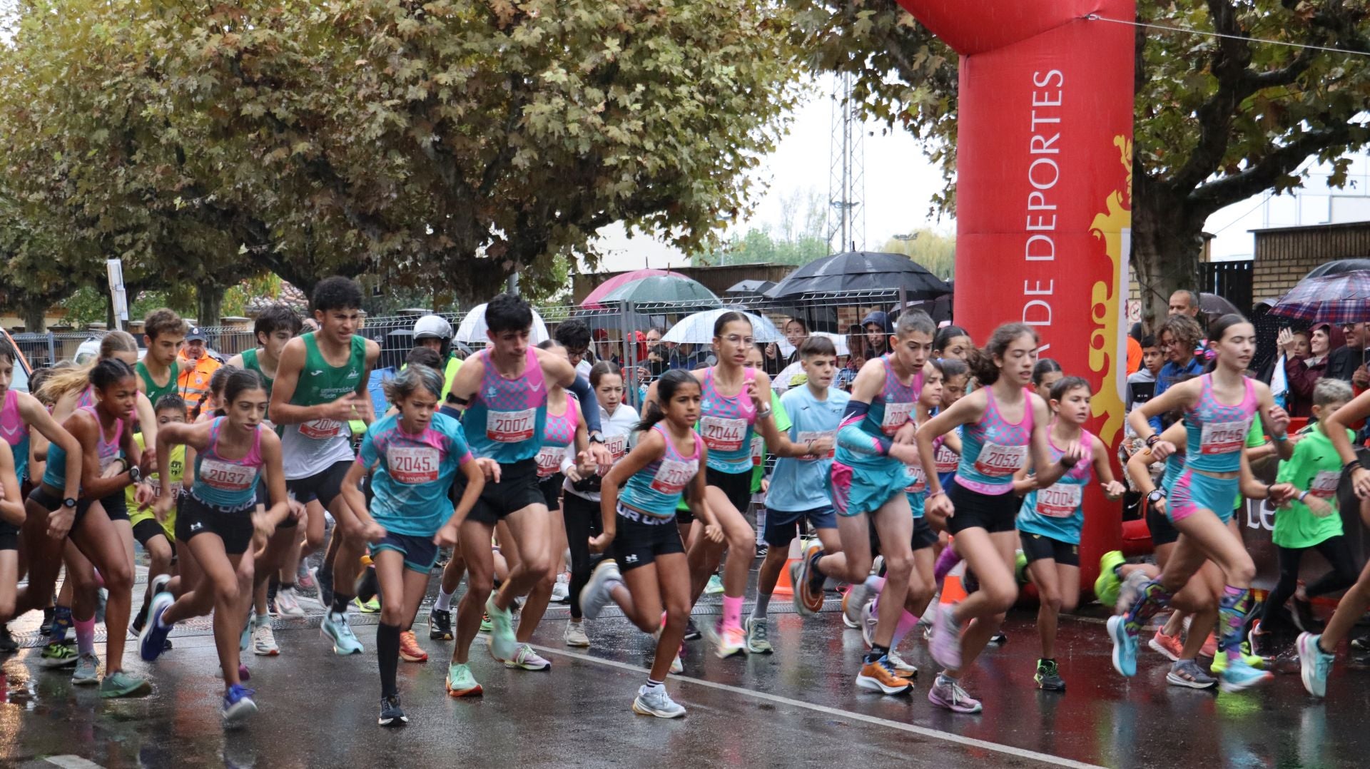 Todas las imágenes de la Peque León Cuna del Parlamentarismo