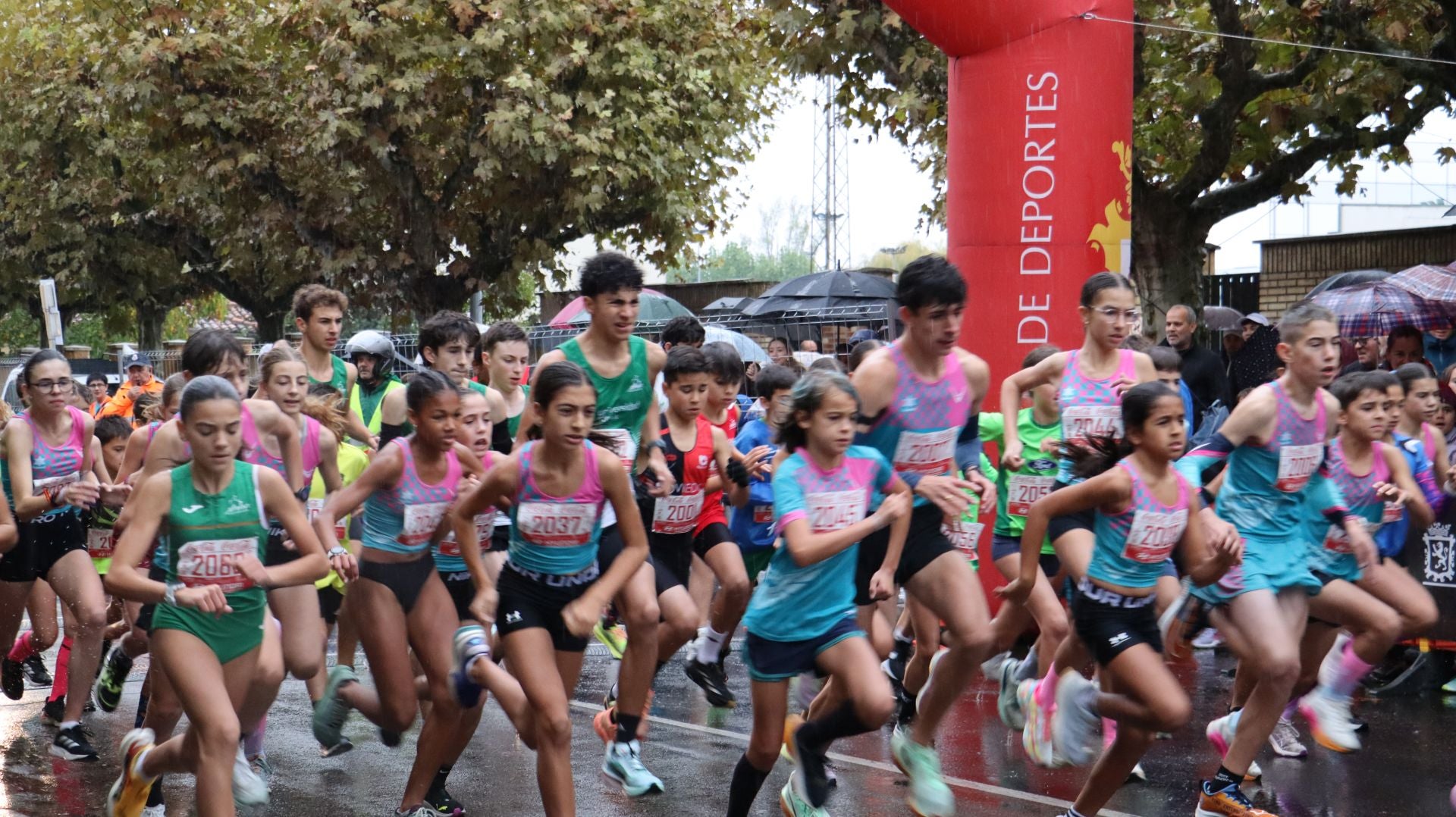 Todas las imágenes de la Peque León Cuna del Parlamentarismo