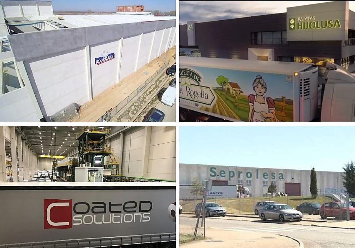 Las cuatro empresas, que facturan más de 100 millones, y que más crecieron en 2023.