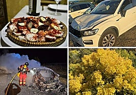 Las imágenes del día en León.