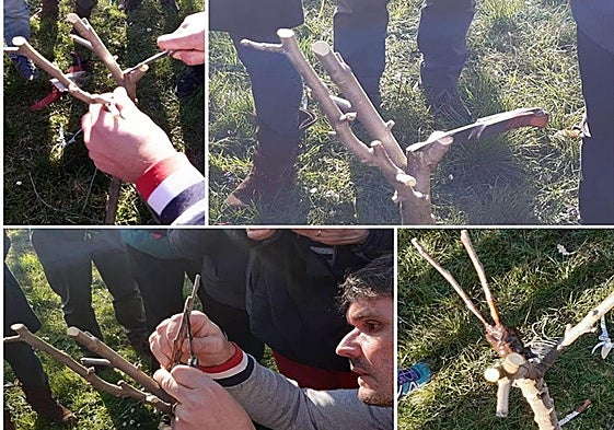 Imagen de un curso de poda