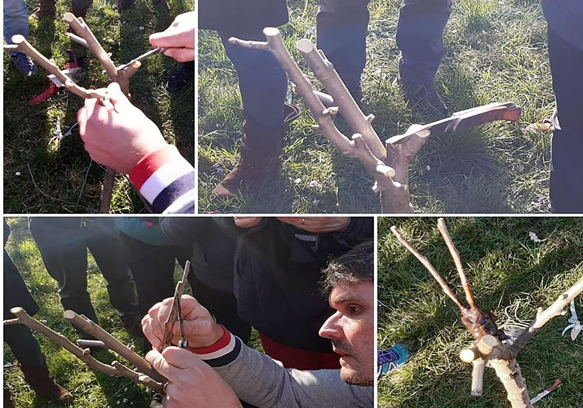 Imagen de un curso de poda