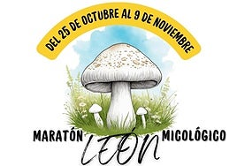 Cartel del maratón micológico de León