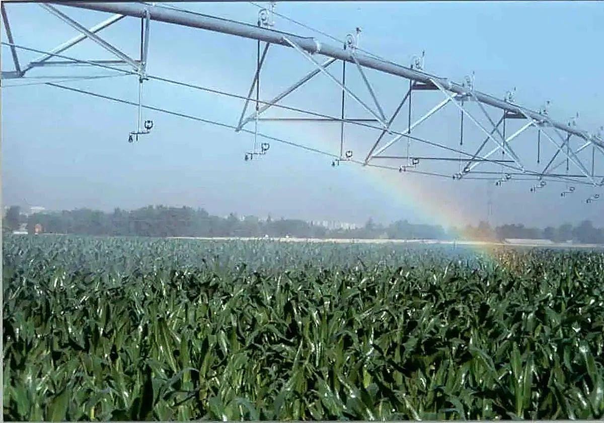 Imagen del riego en un campo