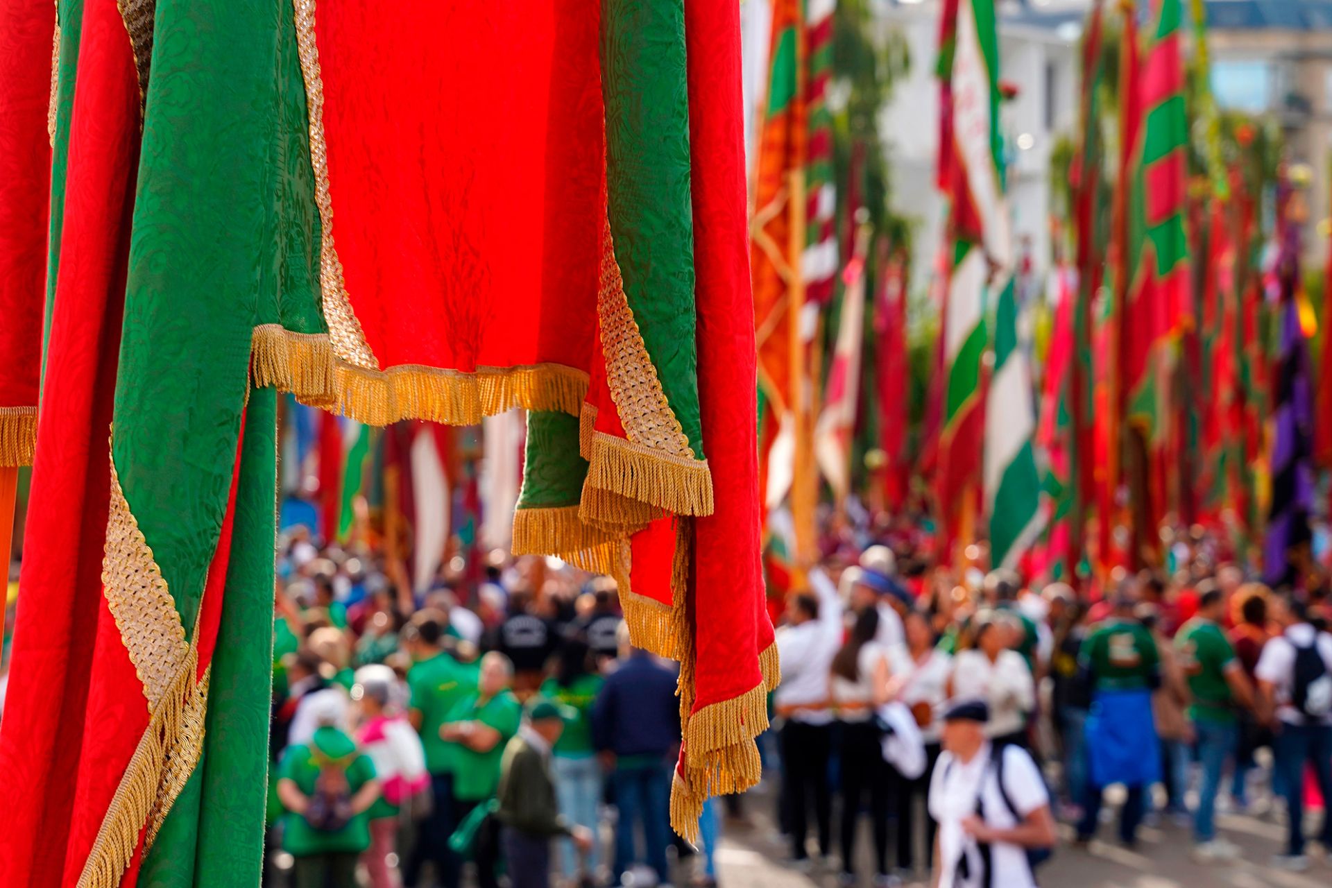Las imágenes ganadoras del XV Maratón Fotográfico Reino de León