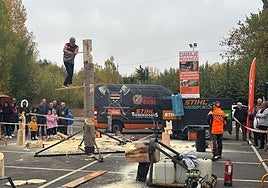 Exhibición de esculturas con hacheros y motosieras