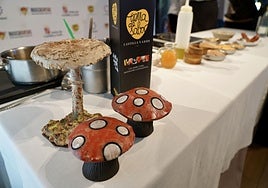 Presentación de las XXIV Jornadas Buscasetas en León.