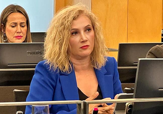 Silvia Franco en la comisión del Congreso.