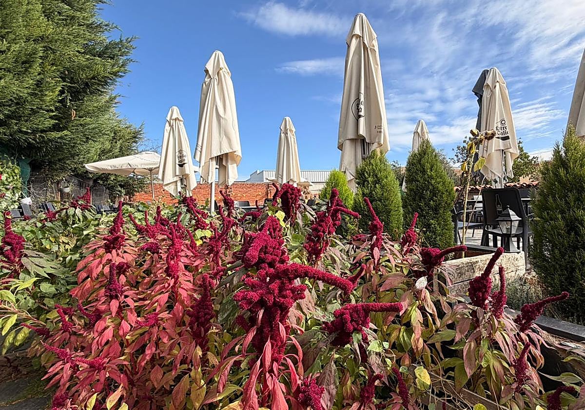 Imagen principal - Imágenes del establecimiento.