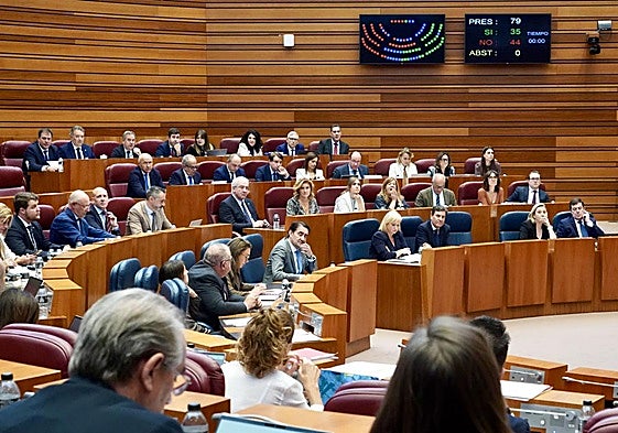 Pleno de las Cortes de Castilla y León.