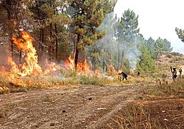 Imagen de archivo de los incendios en León.
