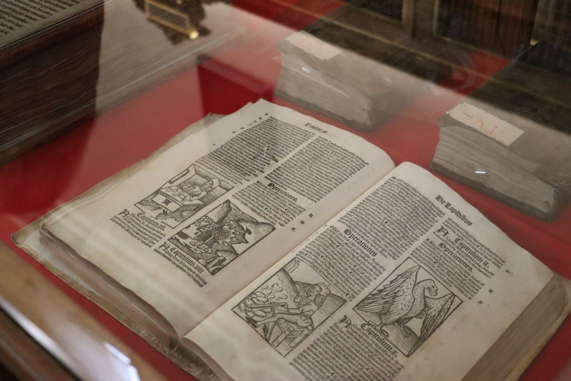 Las imágenes del incunable sobre remedios de San Isidoro