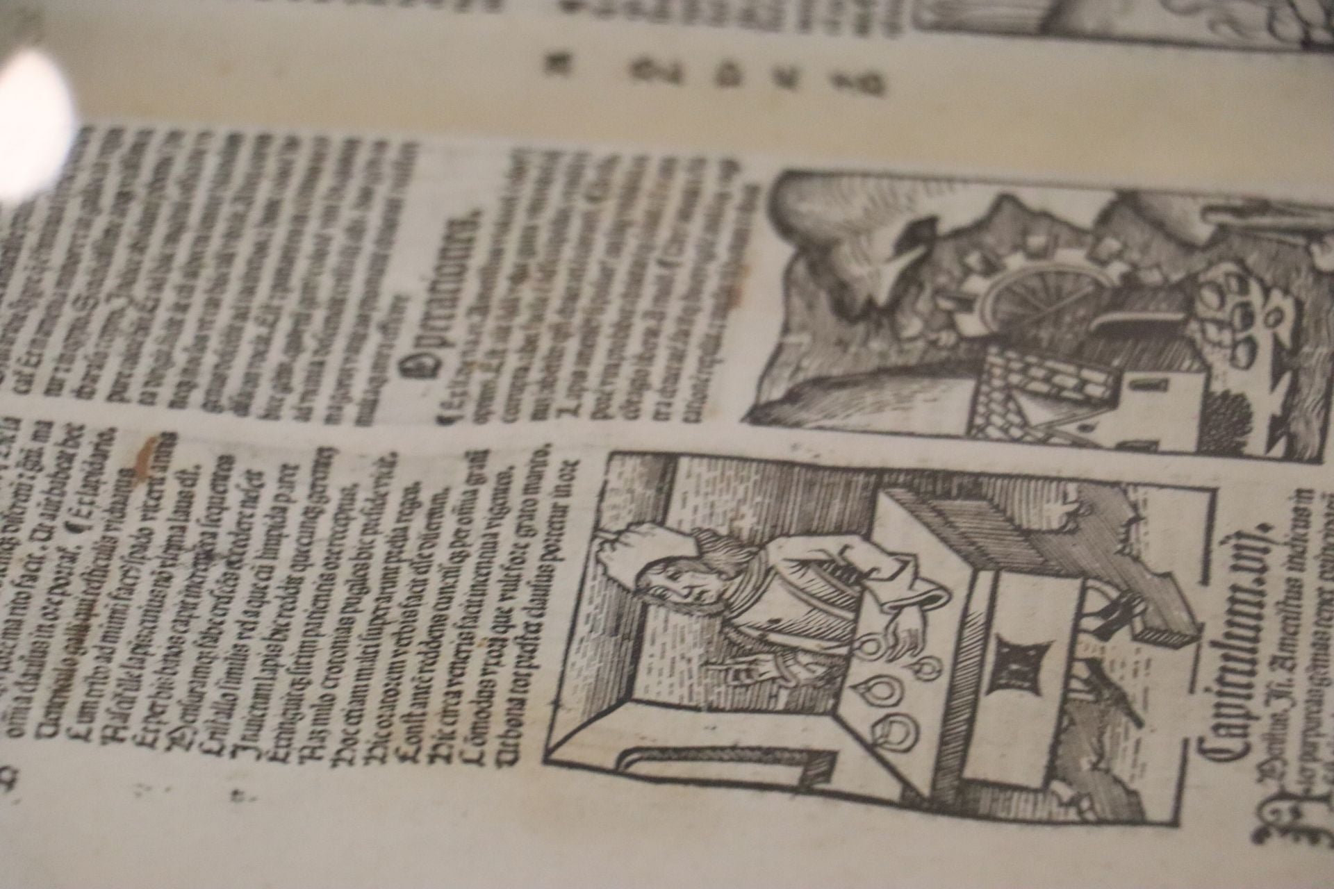 Las imágenes del incunable sobre remedios de San Isidoro