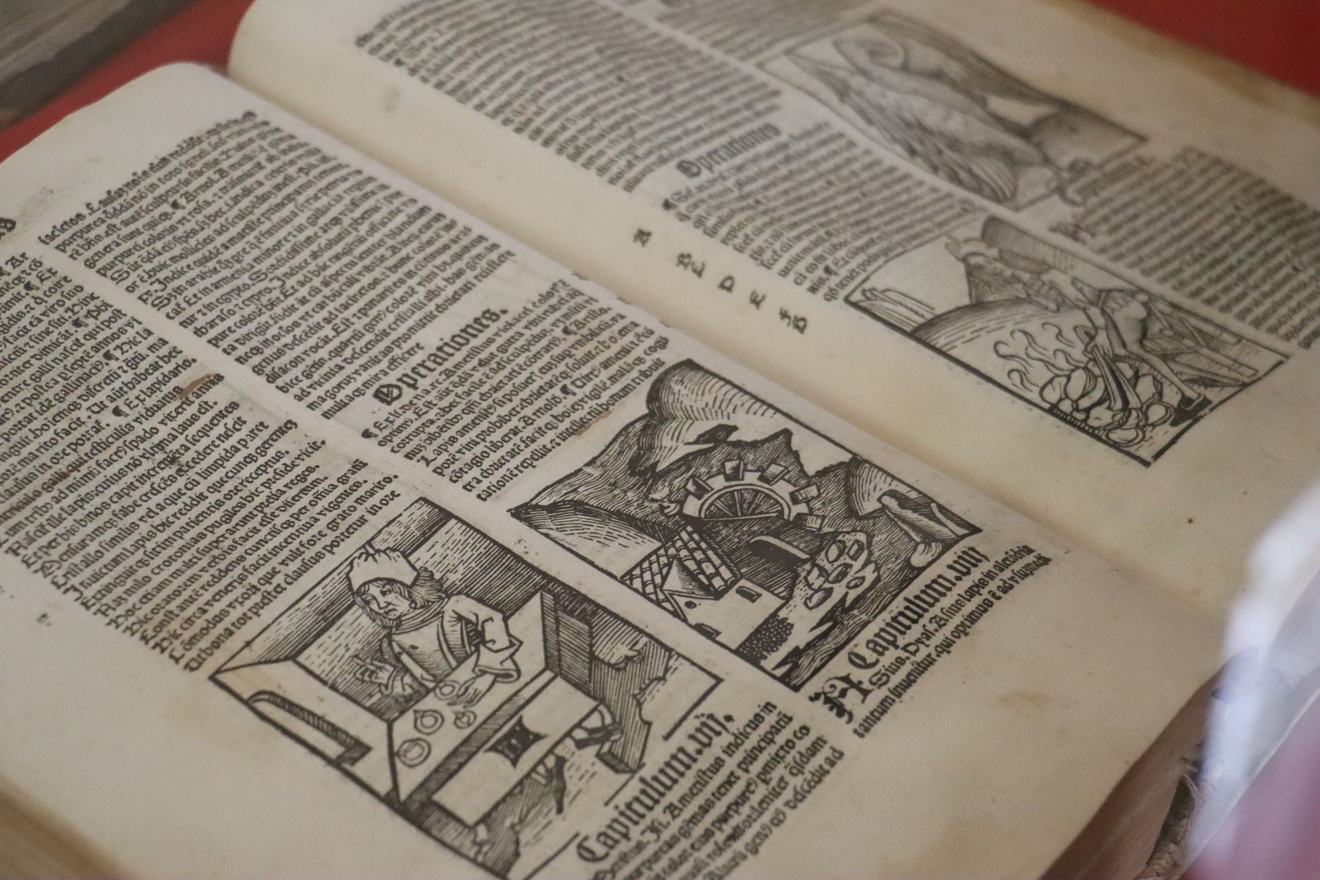 Las imágenes del incunable sobre remedios de San Isidoro