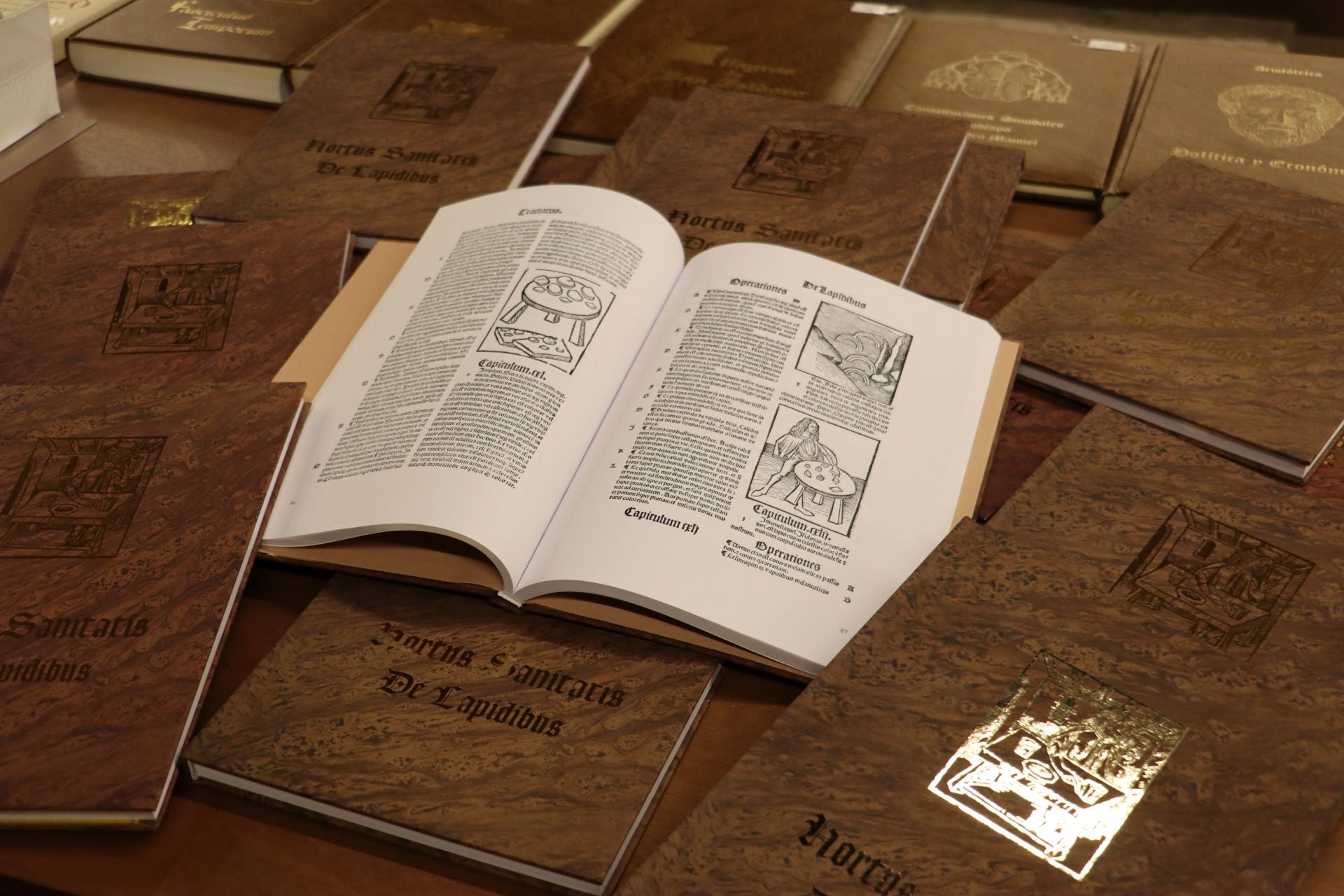 Las imágenes del incunable sobre remedios de San Isidoro