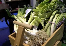 Manojo de puerros de Sahagún.