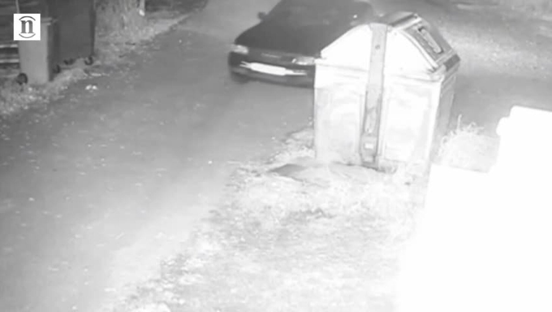 Abandono de tres cachorros en la protectora de León