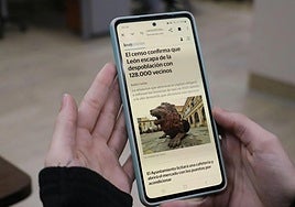 Un usuario consulta leonoticias en su teléfono móvil.