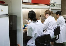 Laboratorio de la ULE.