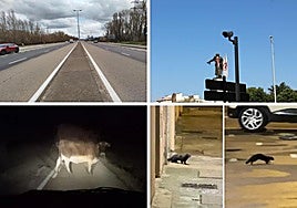 Las imágenes del día.