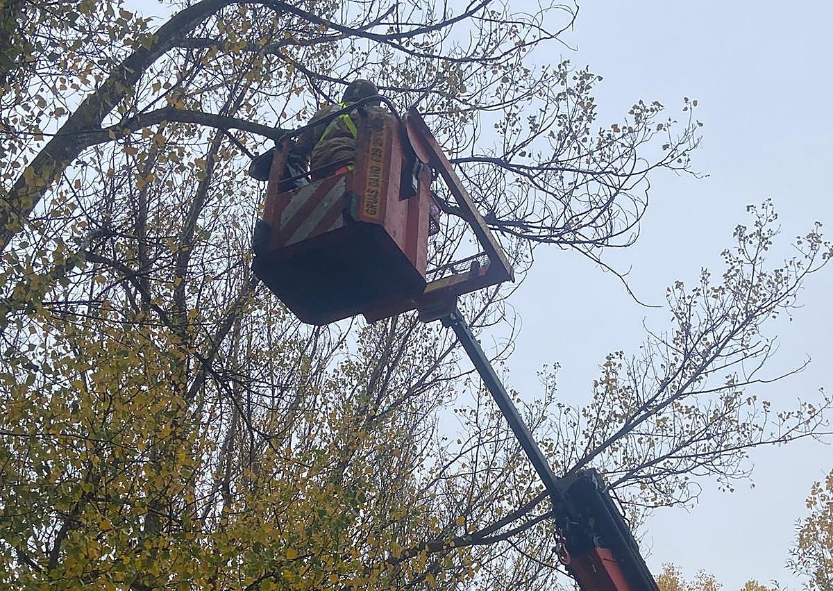 Imagen secundaria 1 - Imágenes de Protección Civil actuando.