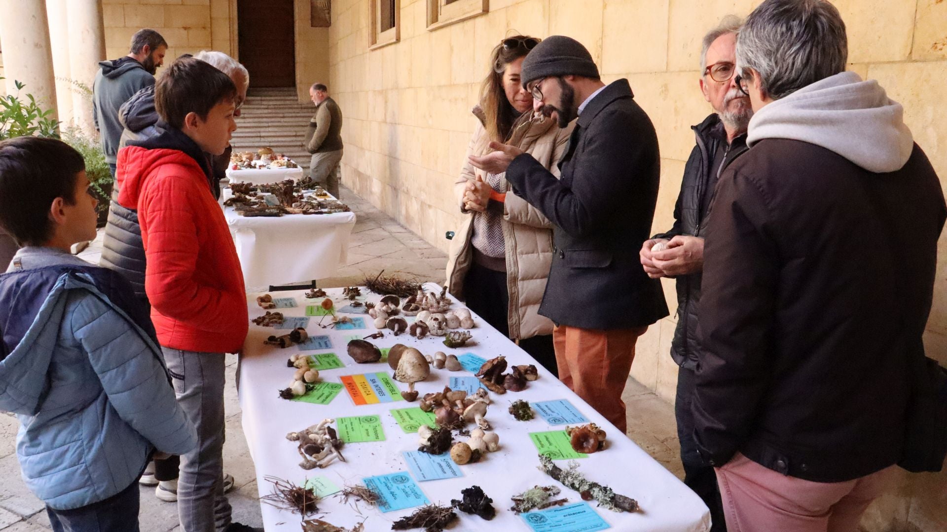 Imágenes de la Exposición Micológica de León
