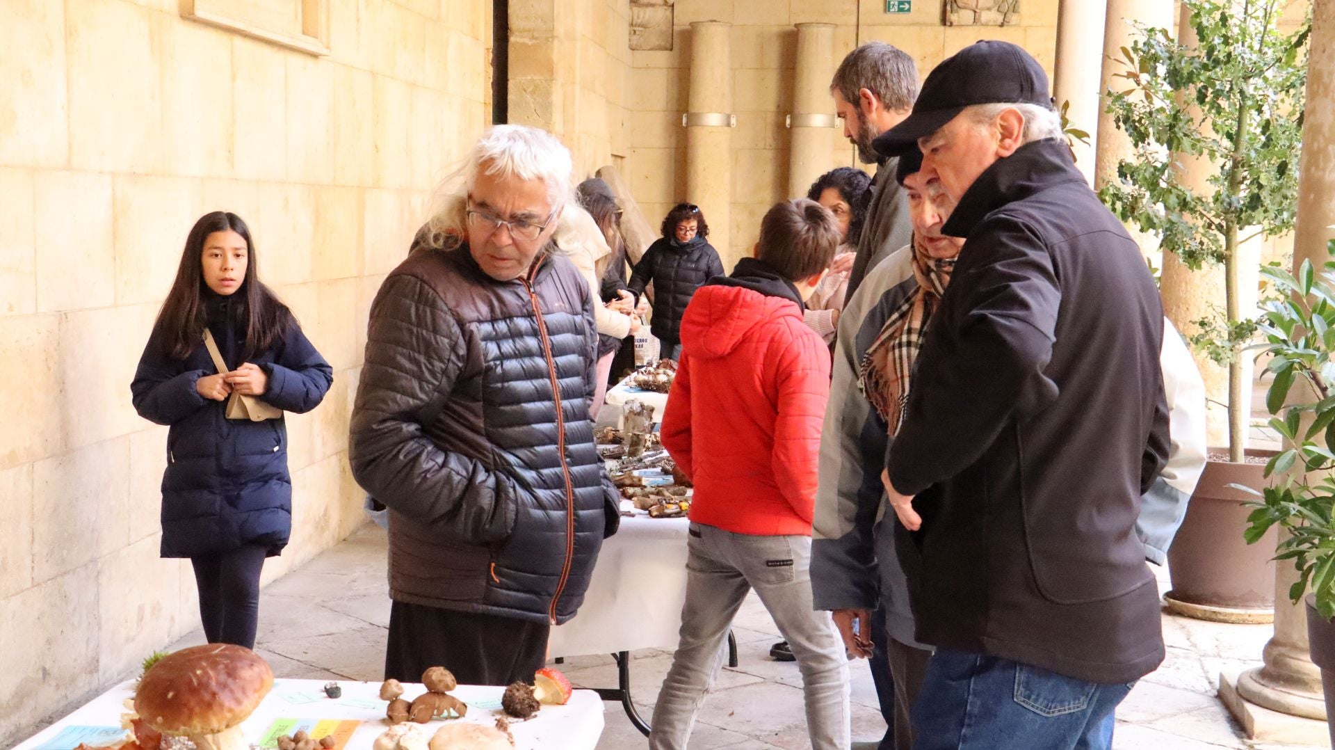 Imágenes de la Exposición Micológica de León