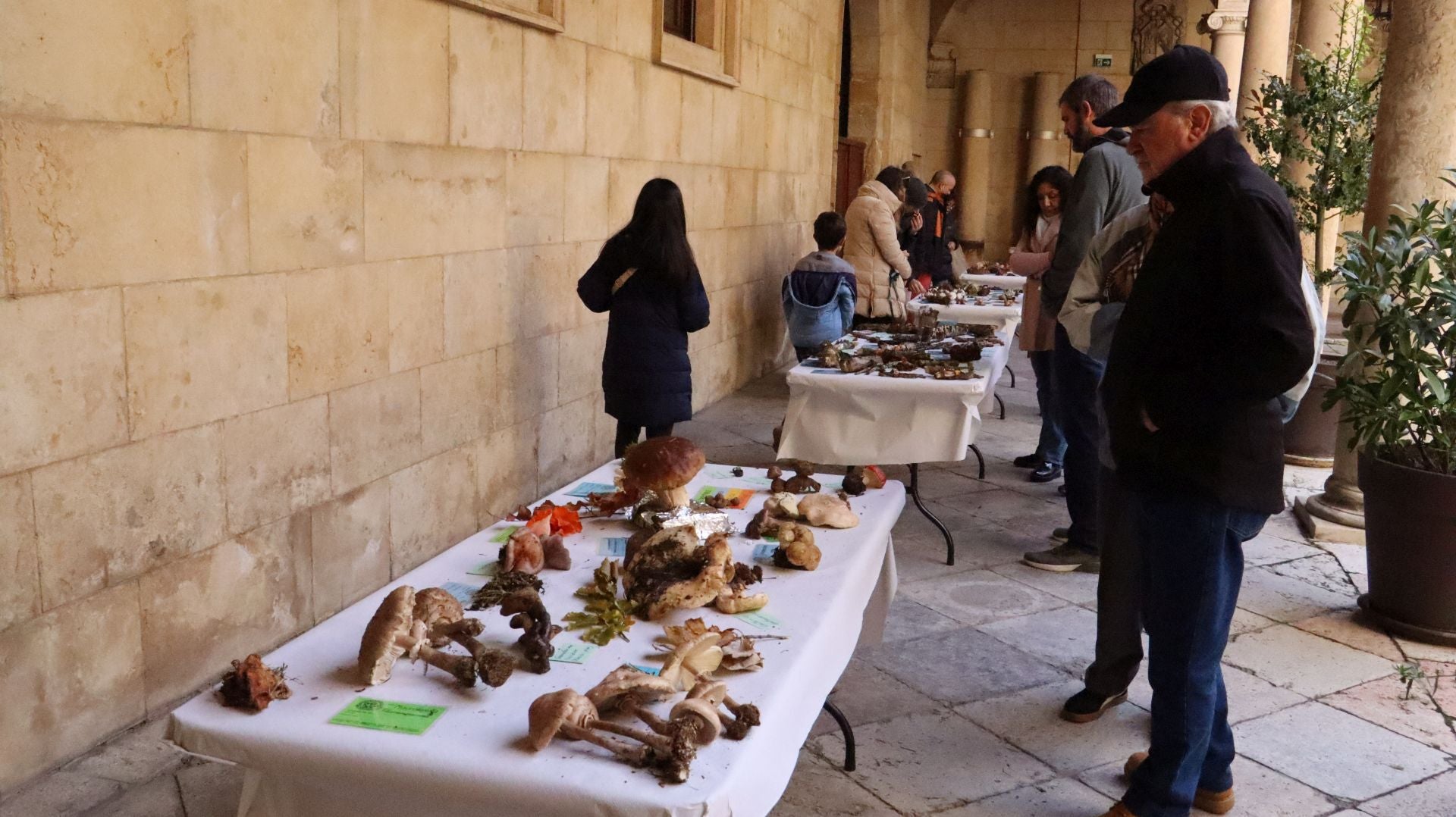 Imágenes de la Exposición Micológica de León