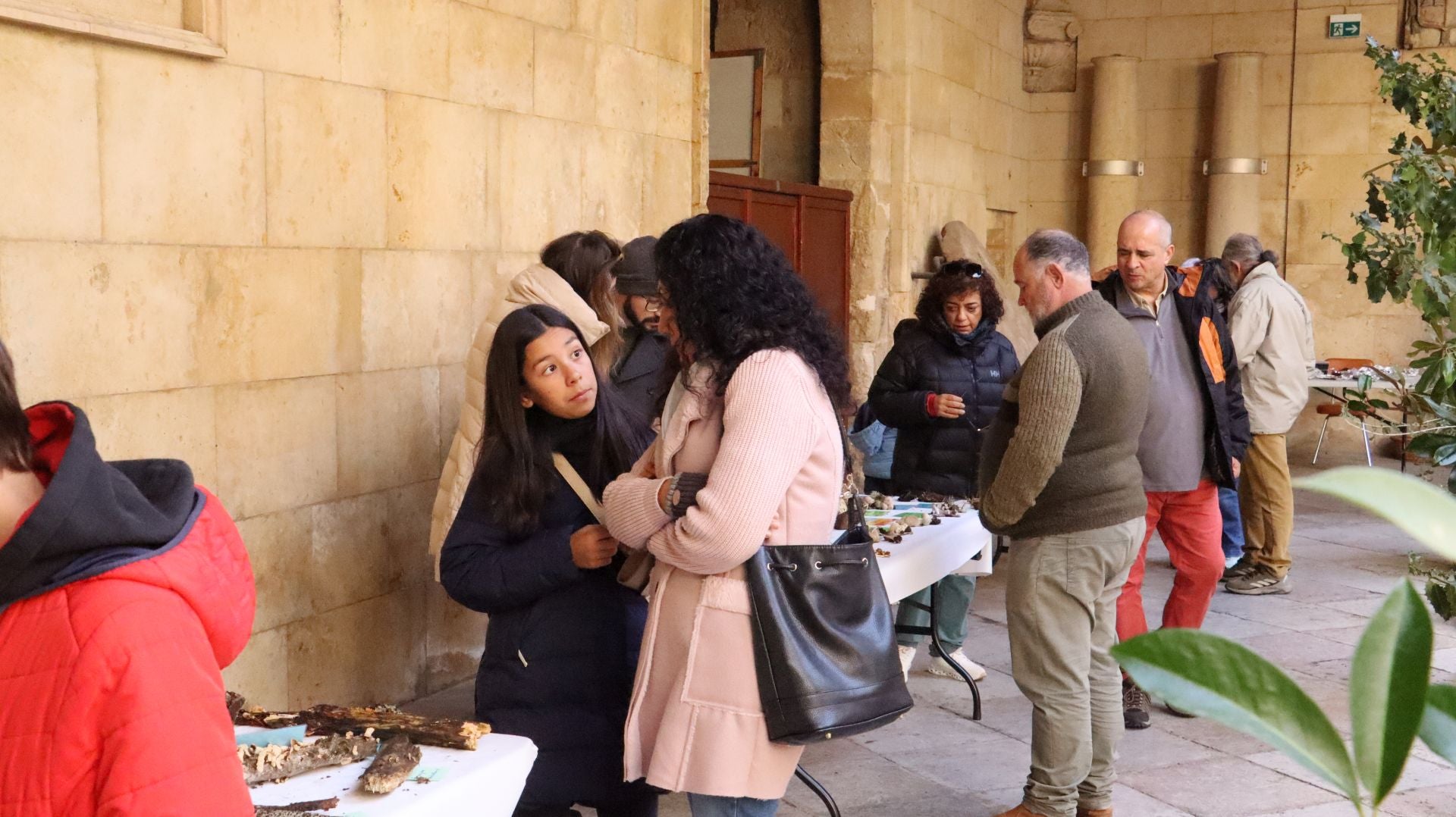 Imágenes de la Exposición Micológica de León