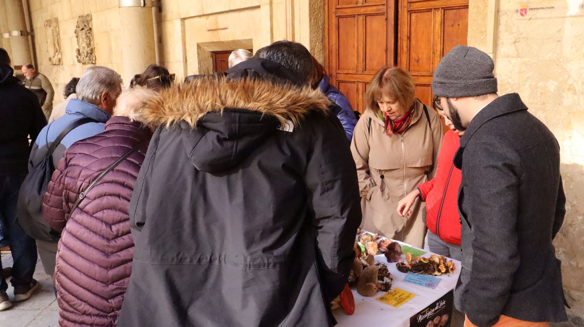 Imágenes de la Exposición Micológica de León