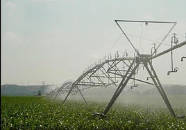 Imagen de archivo de un campo de riego.
