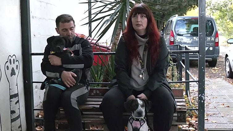 La protectora de León busca hogar para Kosa