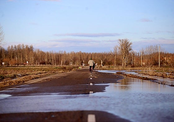 Restos de la inundación que anegó la carretera que une la LE-114 entre Alija del Infantado y La Bañeza en enero de 2016.