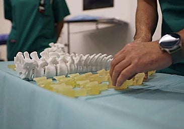 Los principales especialistas en patología vertebral de España se citan en León