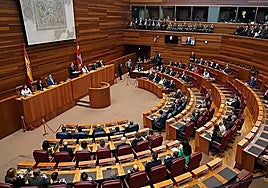 Cortes de Castilla y León.