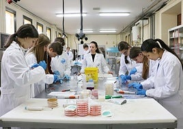 Una actividad de la Semana de la Ciencia 2025.