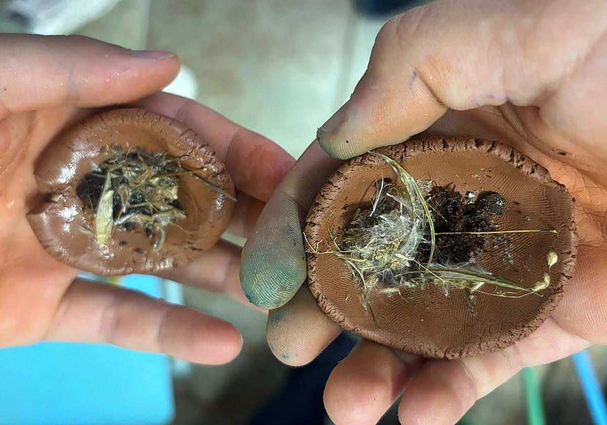 Imagen de la creación de las bombas de semillas.