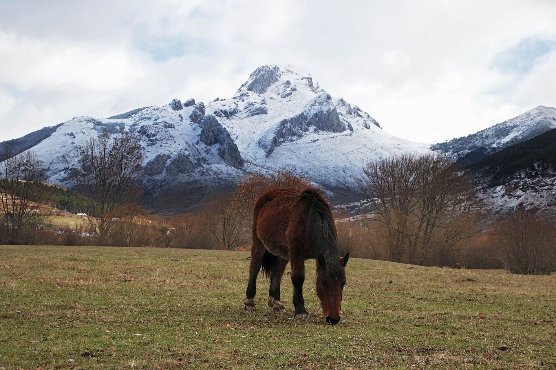Las imágenes de la nieve en la montaña de León