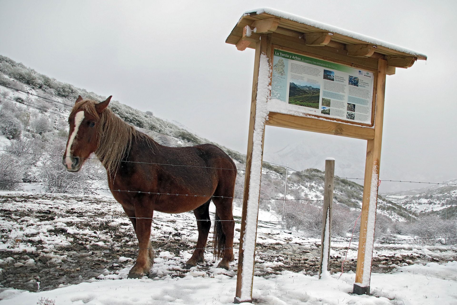 Las imágenes de la nieve en la montaña de León