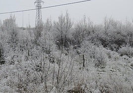 Imagen de una helada pasada en León.