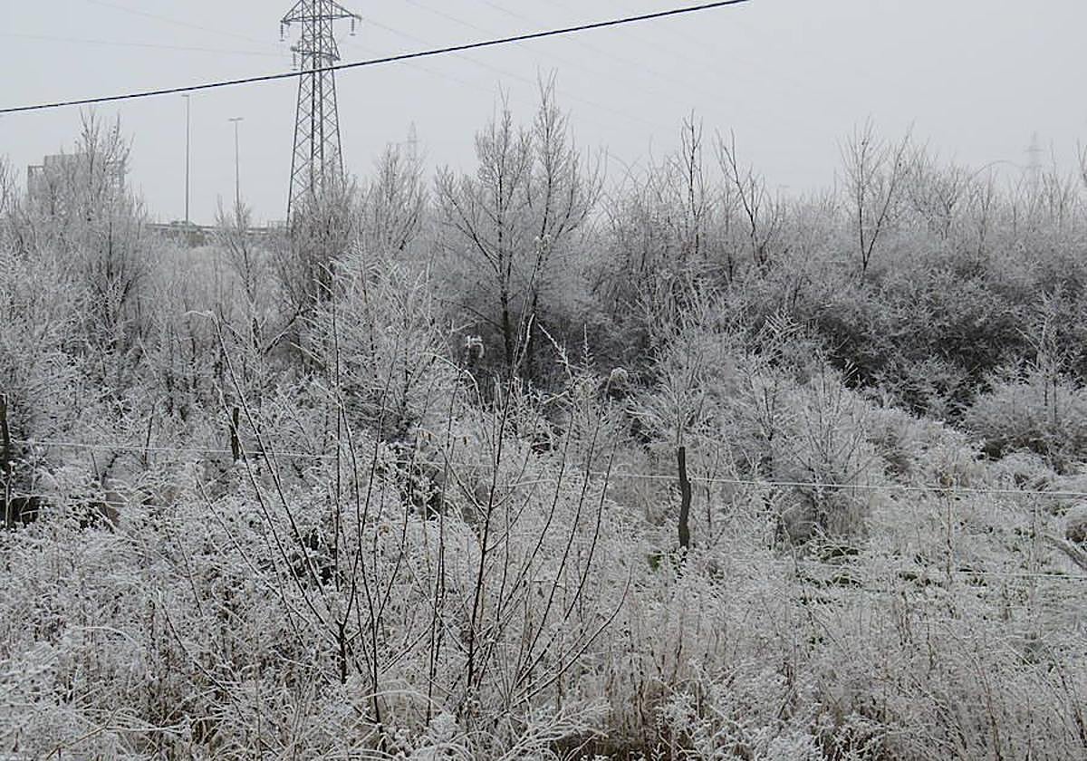 Imagen de una helada pasada en León.