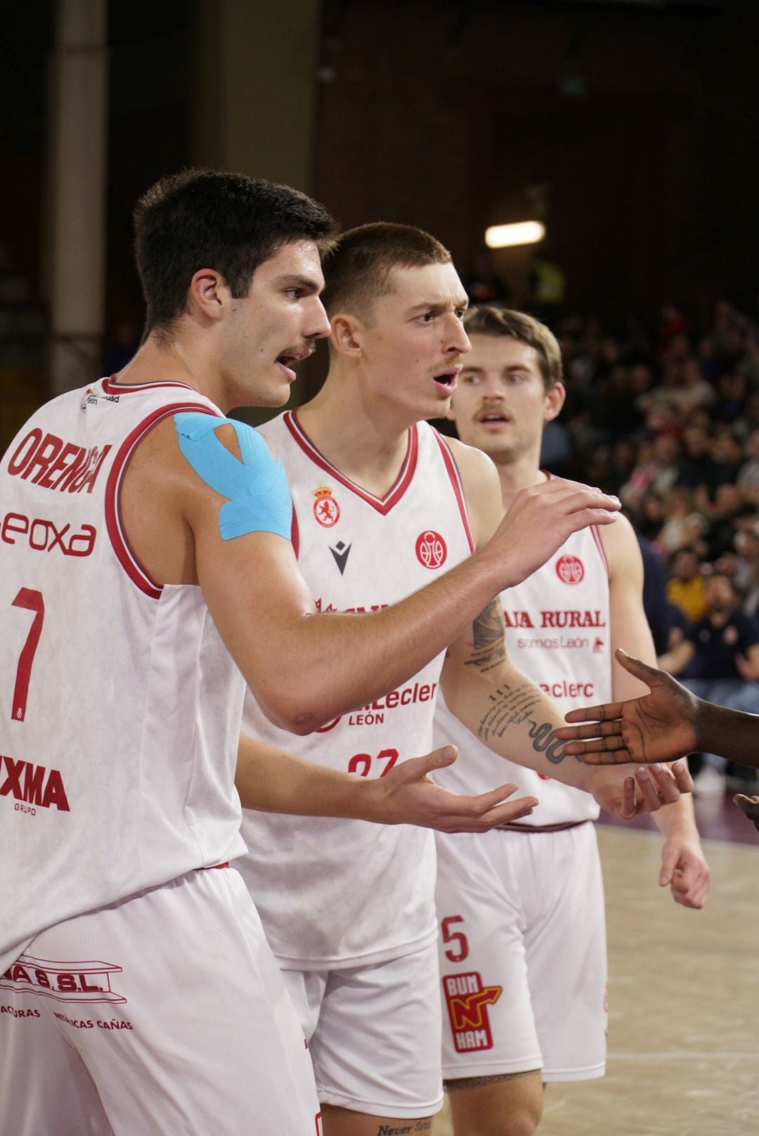 Las imágenes del Cultural-Jaén de baloncesto