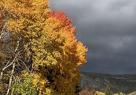 Paisaje otoñal en el norte de la provincia de León.