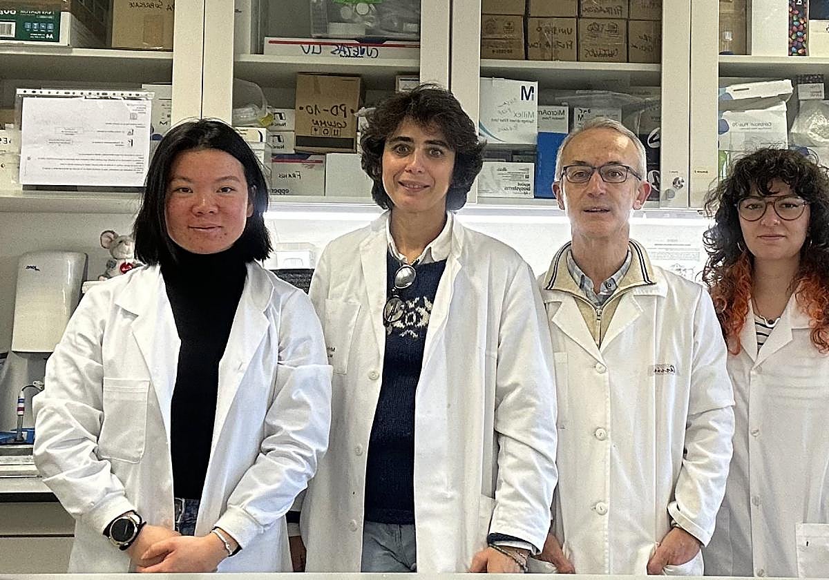 Investigadores leoneses.