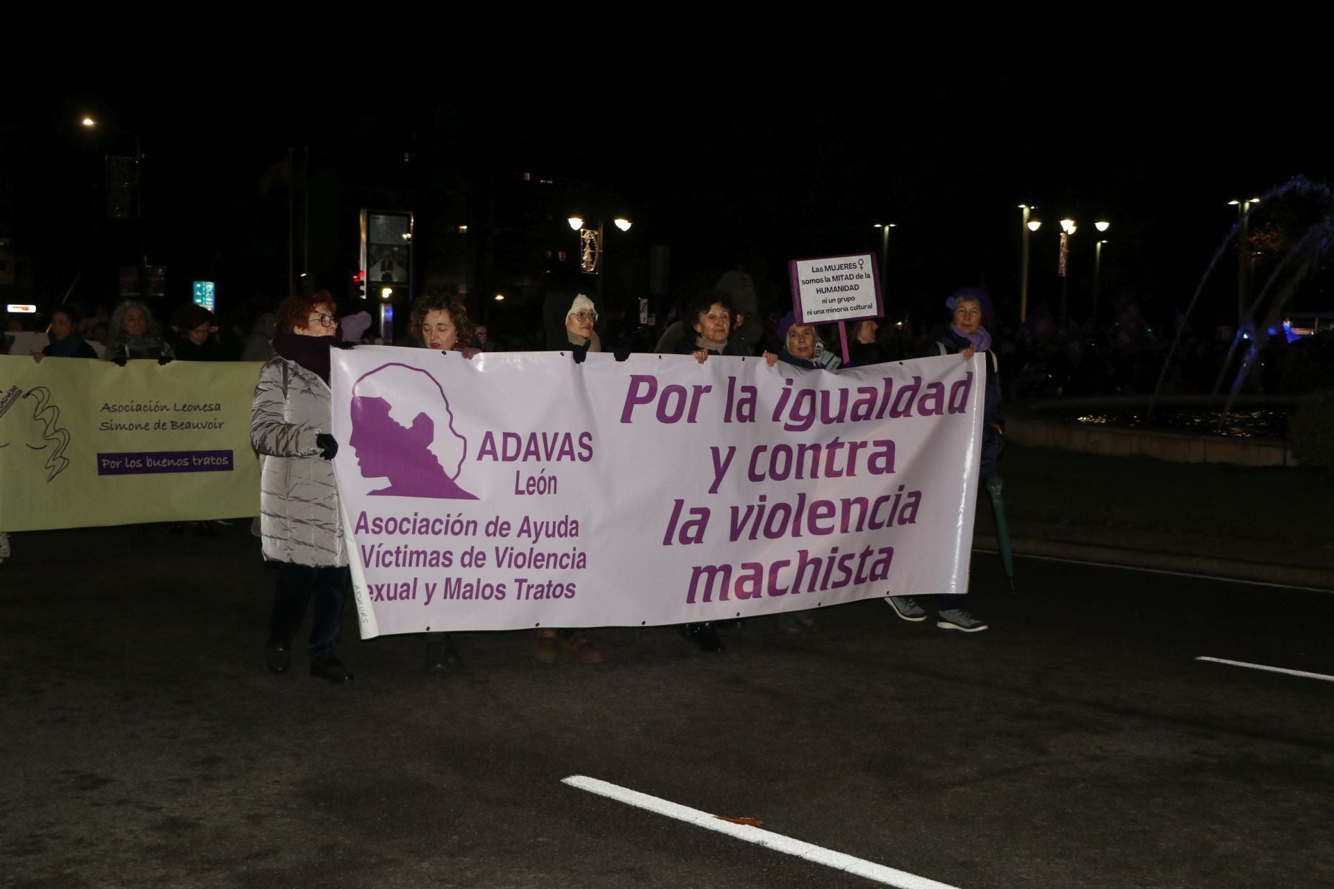 Las imágenes de la manifestación del 25N en León