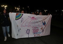 Las imágenes de la manifestación del 25N en León