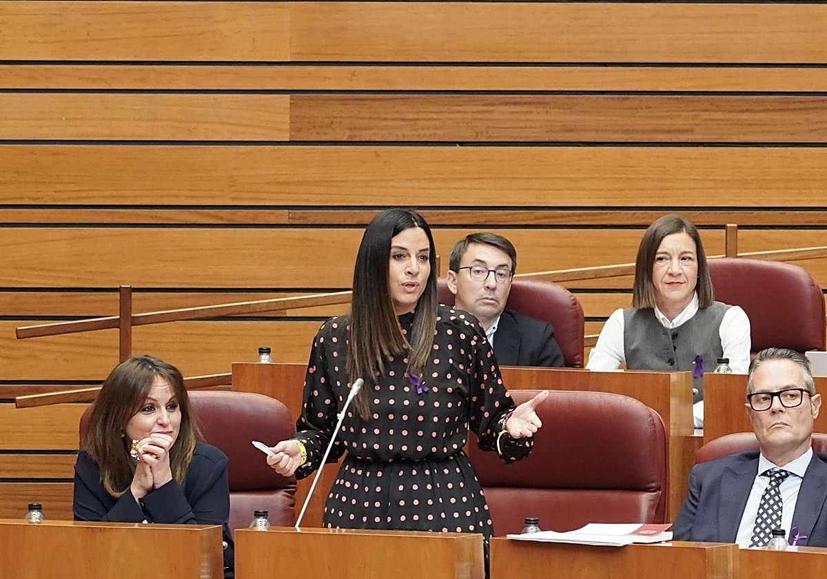 Nuria Rubio en su intervención en las Cortes de Castilla y León interpelando a Quiñones.