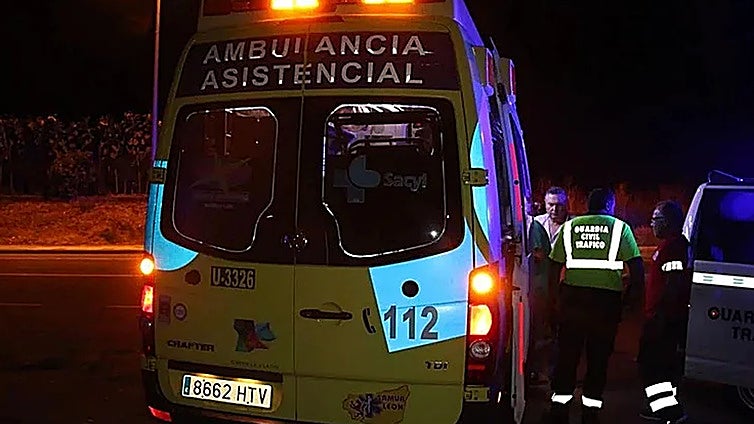 Herida una mujer tras chocar su coche contra un osezno en Villablino